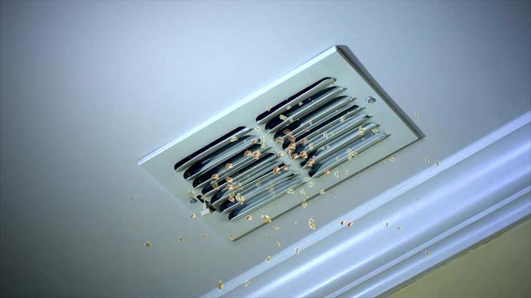 Best Best Air Duct Cleaning Company  in Brent, FL