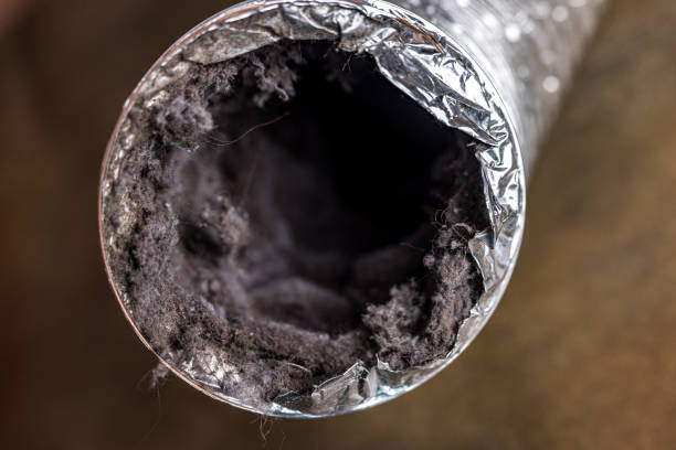 Best Professional Duct Cleaning Services  in Brent, FL