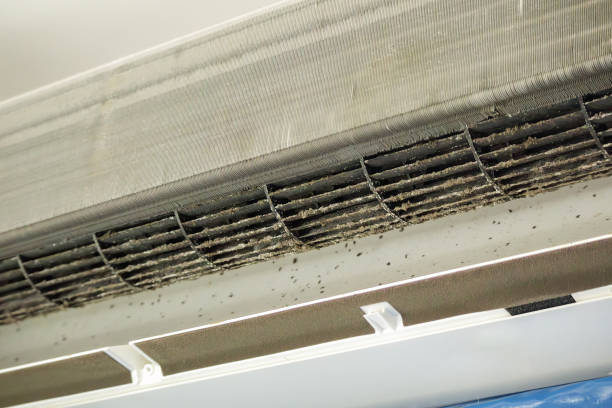 Best Ventilation Cleaning Services  in Brent, FL